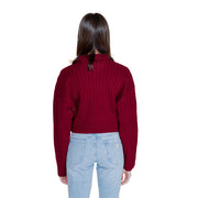 Tommy Hilfiger Jeans Femme Pulls